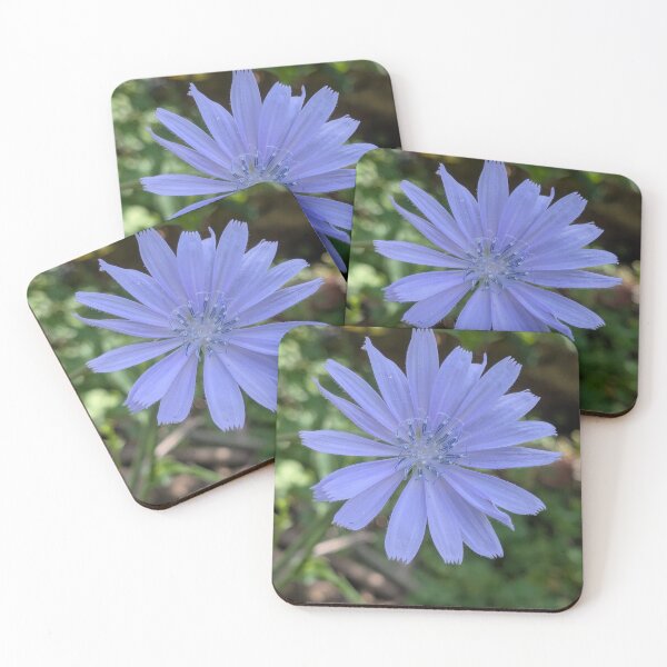 Item preview, Chicory blossom  designed and sold by arfff.