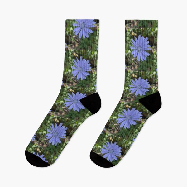 Item preview, Chicory blossom  designed and sold by arfff.