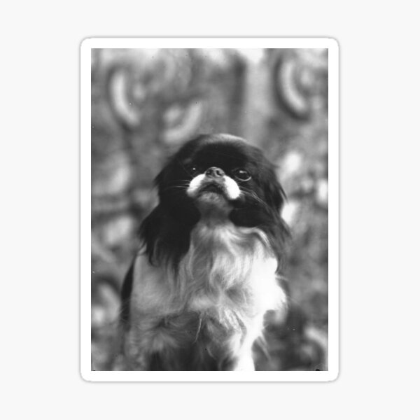 Item preview, little funny vintage dog portrait designed and sold by eveyting.
