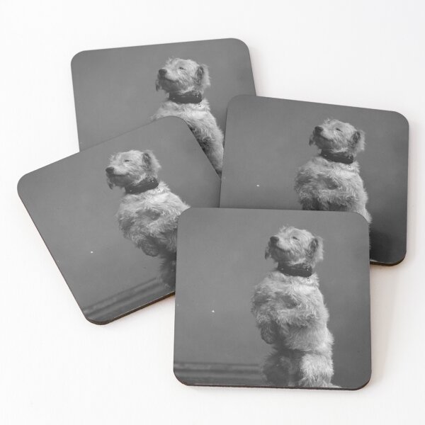 Item preview, SITTING VINTAGE DOG PHOTOS designed and sold by eveyting.