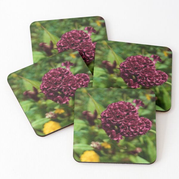 Item preview, Natural velvet in a Cambodian garden designed and sold by franck380.
