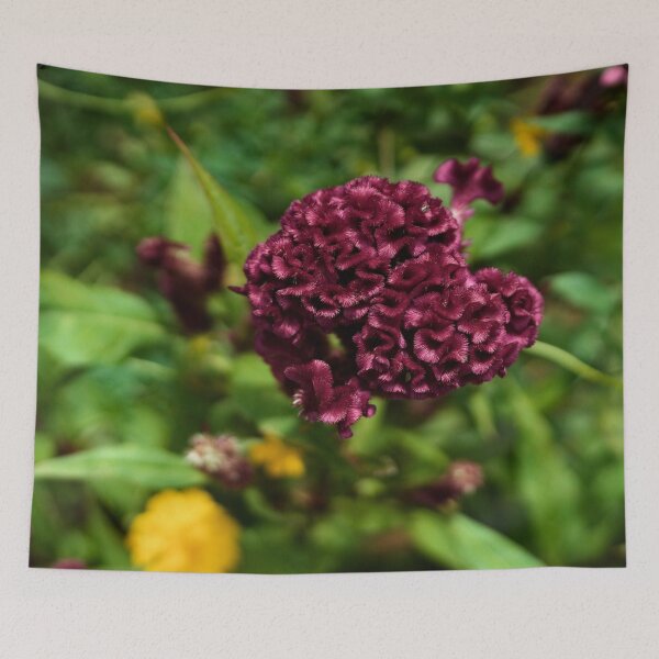 Item preview, Natural velvet in a Cambodian garden designed and sold by franck380.