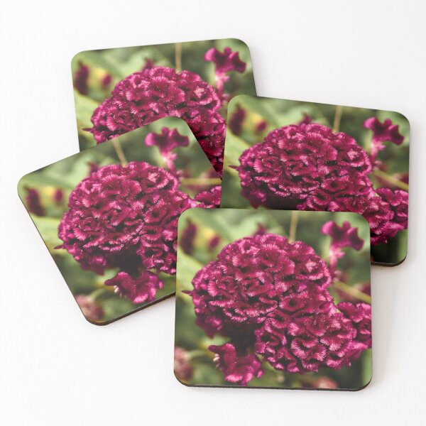 Item preview, Natural velvet in a Cambodian garden designed and sold by franck380.