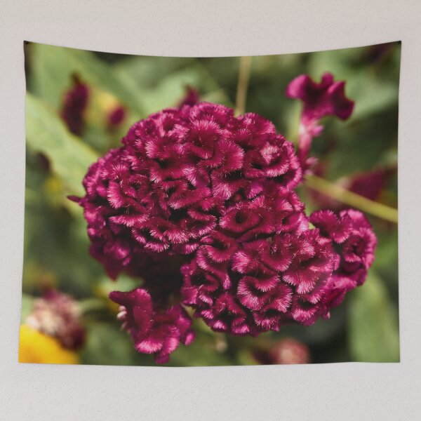 Item preview, Natural velvet in a Cambodian garden designed and sold by franck380.