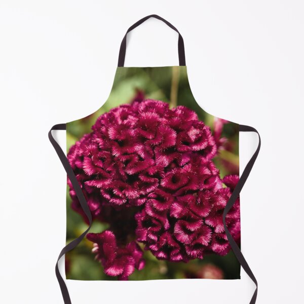 Item preview, Natural velvet in a Cambodian garden designed and sold by franck380.