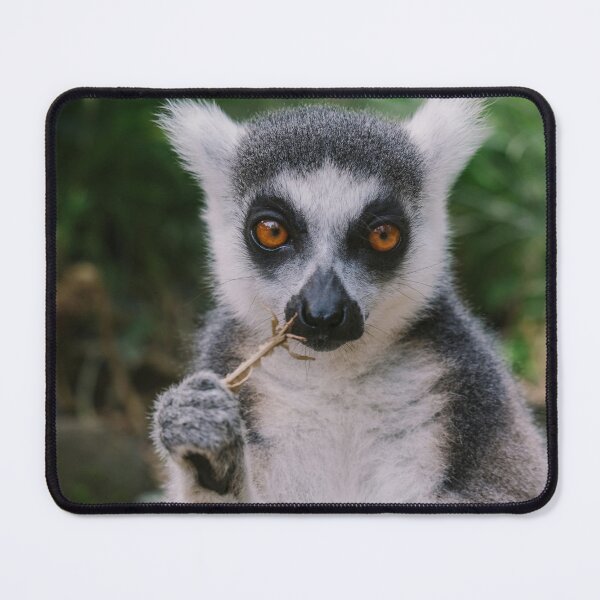 Item preview, lemur designed and sold by RedShop24.