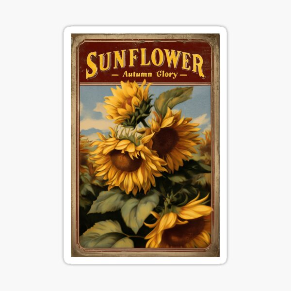 Item preview, Sachet de graines de tournesol vintage designed and sold by Boddicca.