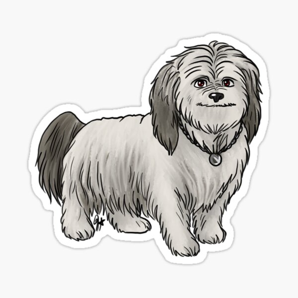 Artikel-Vorschau von Custom - Shih Poo - Sylvie Winter Cut, designt und verkauft von Jennifer Stolzer.