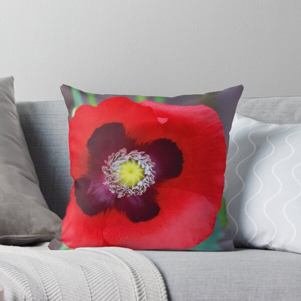 Item preview, Beautiful Red Poppy Flower designed and sold by Phakade's Photos.
