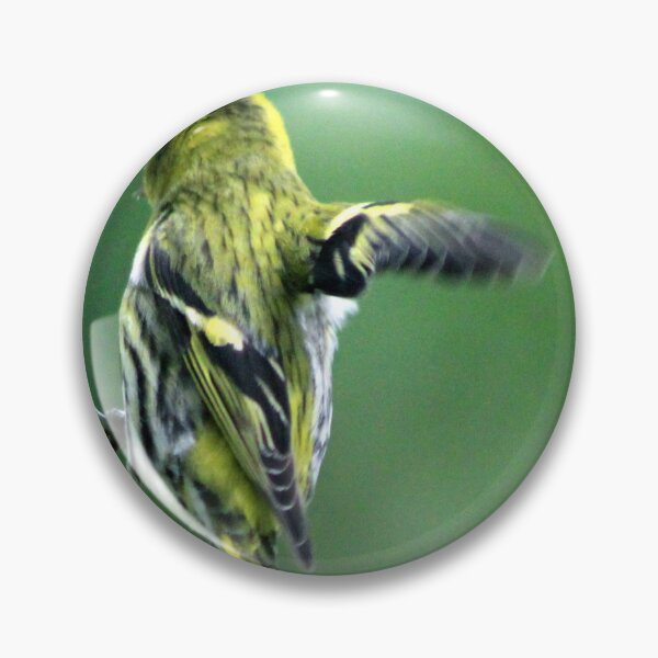 Item preview, siskin designed and sold by KathleenDawson.