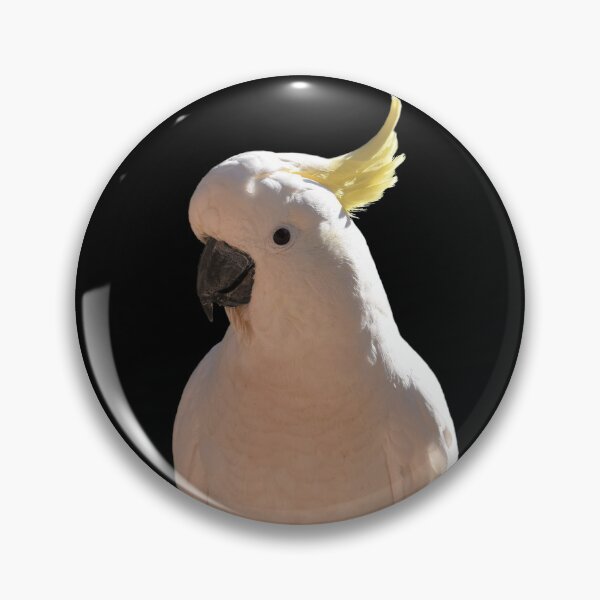 Item preview, Cockatoo at Sundial Apartments designed and sold by Yolanda Caporn Art.