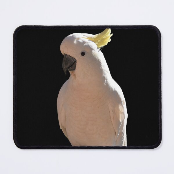 Item preview, Cockatoo at Sundial Apartments designed and sold by Yolanda Caporn Art.