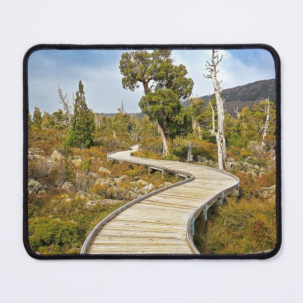 Item preview, 2214  Pencil Pine walk designed and sold by Hans Kawitzki.