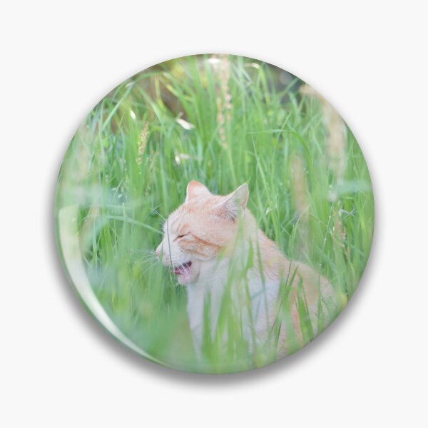 Item preview, Wildcat 6 designed and sold by Yuki took photo.