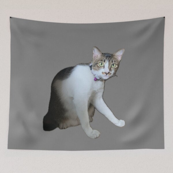 Item preview, Huh!! designed and sold by Dxw-2000.