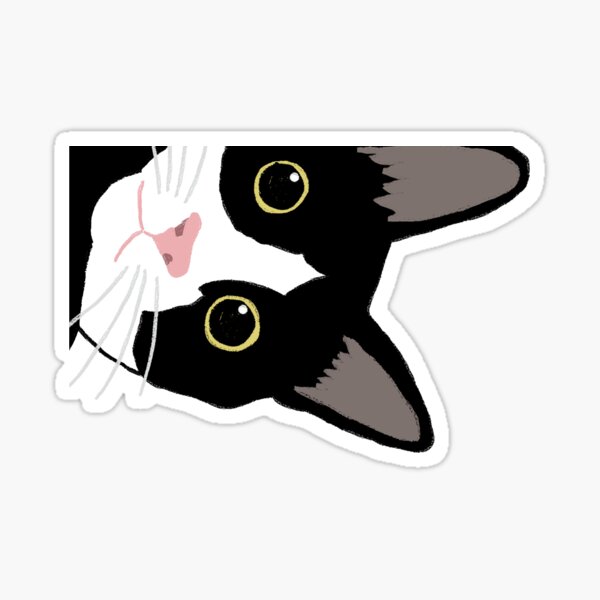 Item preview, Peekaboo Tuxedo Cat with Wide Eyes designed and sold by Gumigrida.