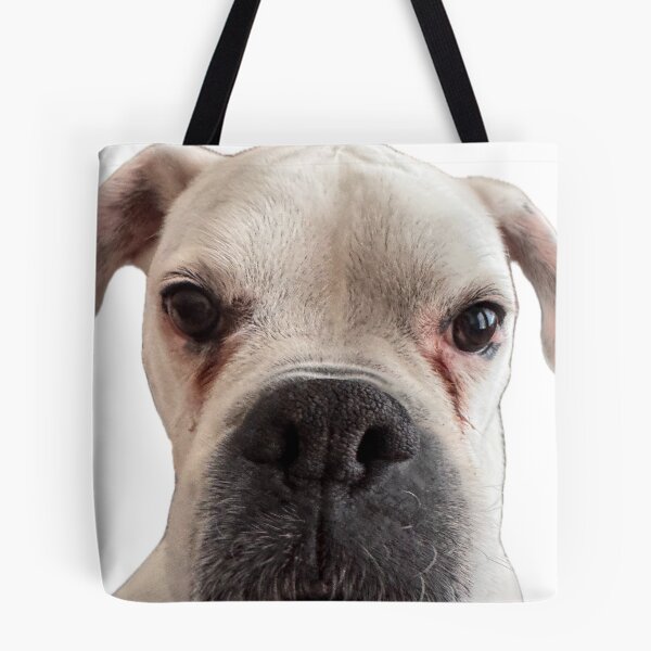 Item preview, cash designed and sold by Mertonopolis.
