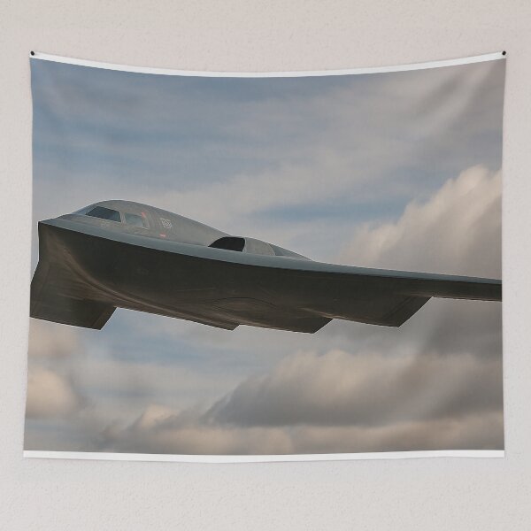 Item preview, B-2 Spirit Stealth Bomber in Daylight Flight designed and sold by Skyframe Aviation.