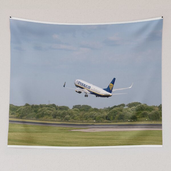 Item preview, MAN to CRL Ryanair Boeing 737-8AS designed and sold by Skyframe Aviation.