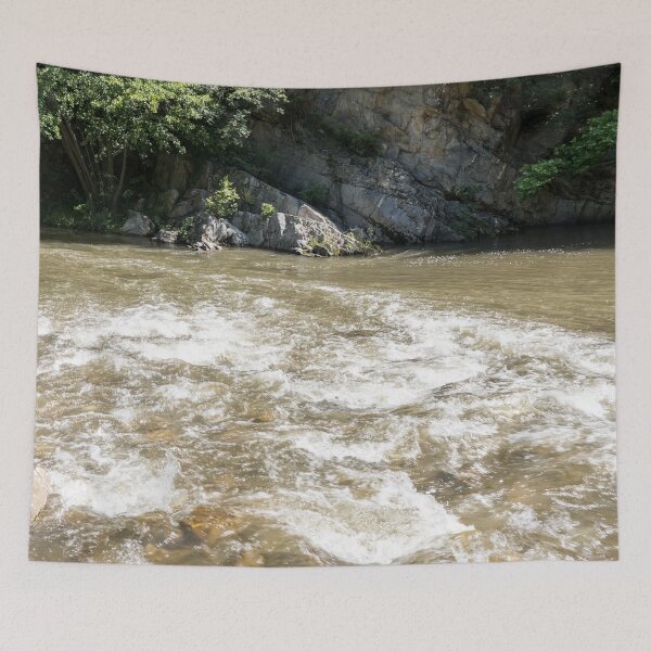 Item preview, Whitewater River Rapids with Rough Cliffs designed and sold by Georgia Mizuleva.