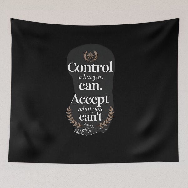 Item preview, Control what you can Accept what you cant designed and sold by Dilwish5.