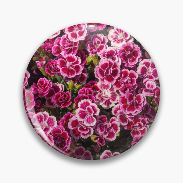 Item preview, Dark pink and white dianthus flowers. designed and sold by bailey-cooper.