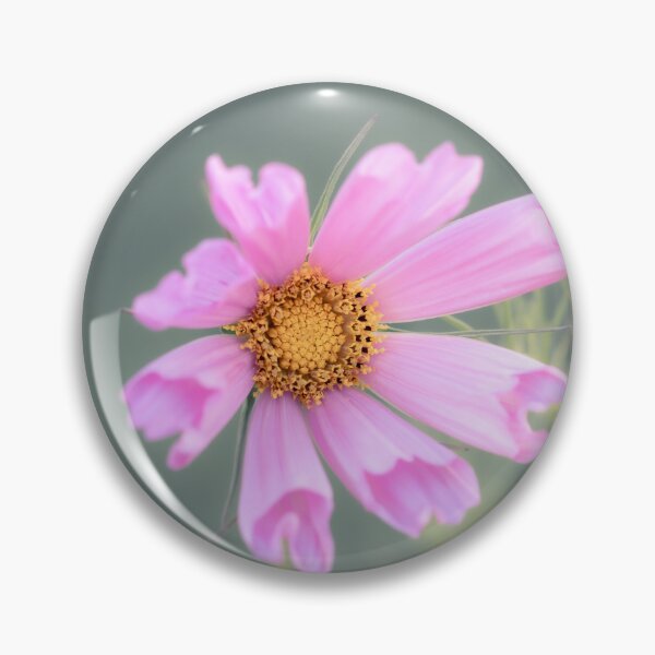Item preview, Cosmos Sea Shells Pink designed and sold by Tanya C  Smith.