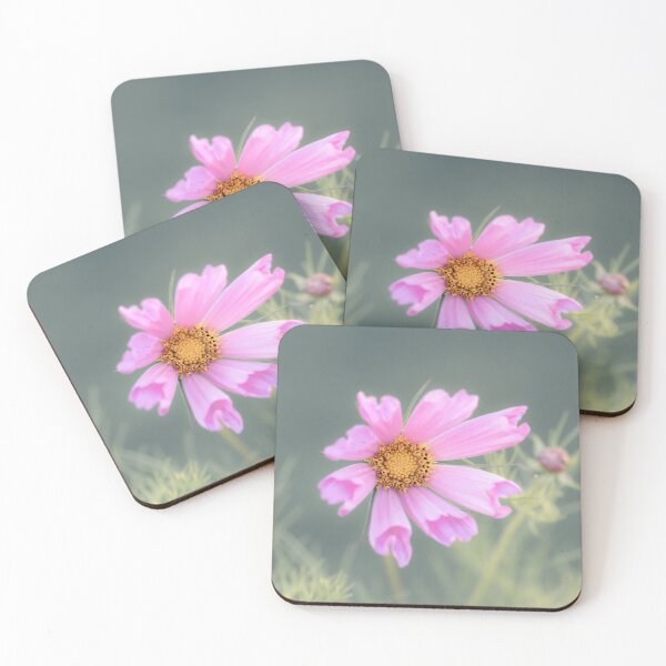 Item preview, Cosmos Sea Shells Pink designed and sold by Tanya C  Smith.