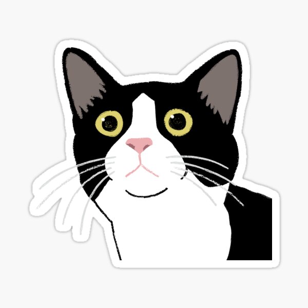 Item preview, Bright-Eyed Tuxedo Cat Close-Up designed and sold by Gumigrida.