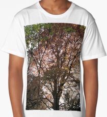 Red leaves in the light of sunset Long T-Shirt