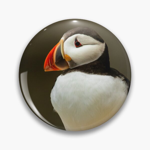Item preview, Atlantic Puffin designed and sold by Jane Stanley Photography.
