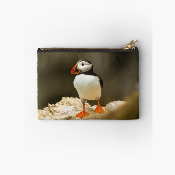 Item preview, Atlantic Puffin designed and sold by Jane Stanley Photography.