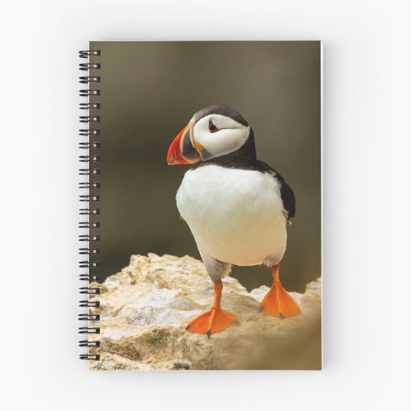 Item preview, Atlantic Puffin designed and sold by Jane Stanley Photography.