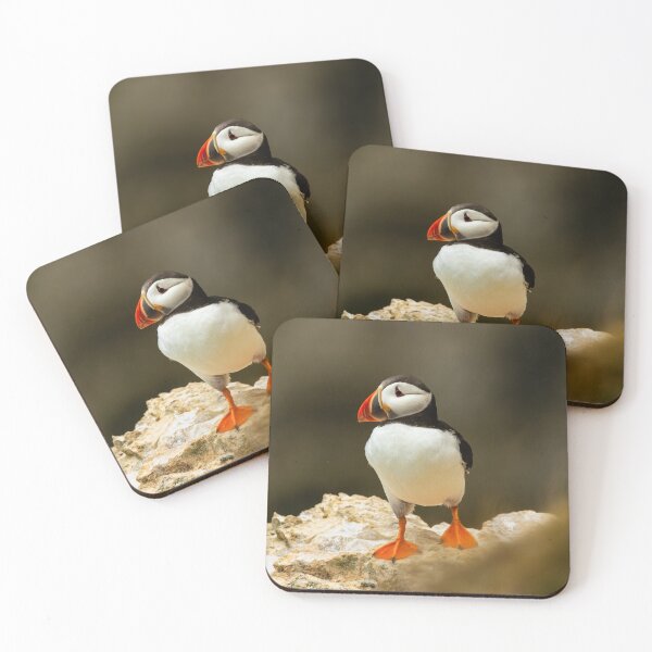 Item preview, Atlantic Puffin designed and sold by Jane Stanley Photography.