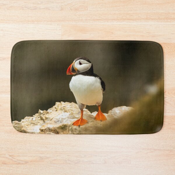 Item preview, Atlantic Puffin designed and sold by Jane Stanley Photography.