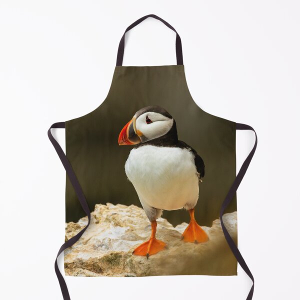 Item preview, Atlantic Puffin designed and sold by Jane Stanley Photography.