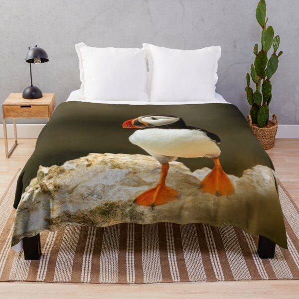 Item preview, Atlantic Puffin designed and sold by Jane Stanley Photography.