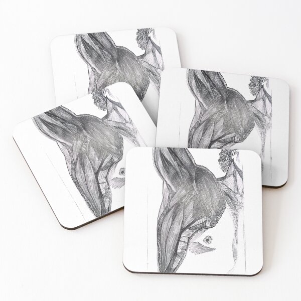 Item preview, Deltoid & Pectoral: Anatomical Study in Graphite designed and sold by Lucid Toast.