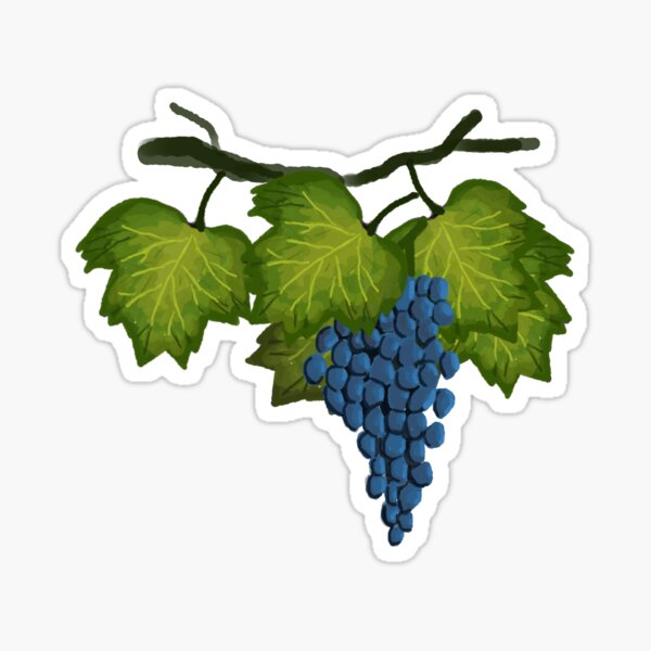Item preview, Blue Grape Vine Sticker designed and sold by Annanucki.