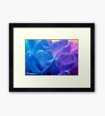 flowers Framed Print