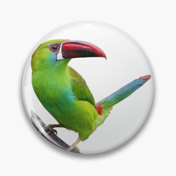 Item preview, Green Tucan  designed and sold by di-Vera-Rosati.