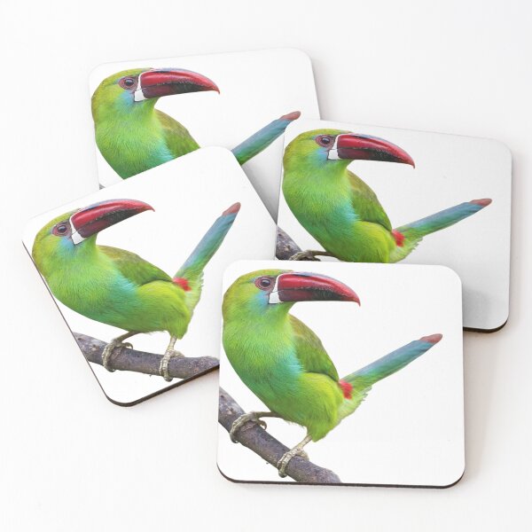 Item preview, Green Tucan  designed and sold by di-Vera-Rosati.
