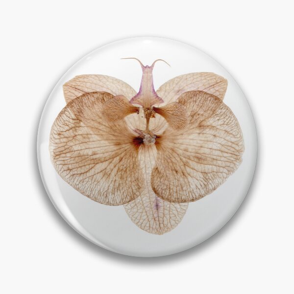 Item preview, Insectile Orchid designed and sold by KazzaGreen.