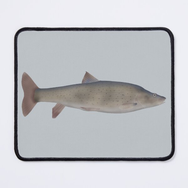 Item preview, Chirruh Snowtrout designed and sold by fishfolkart.