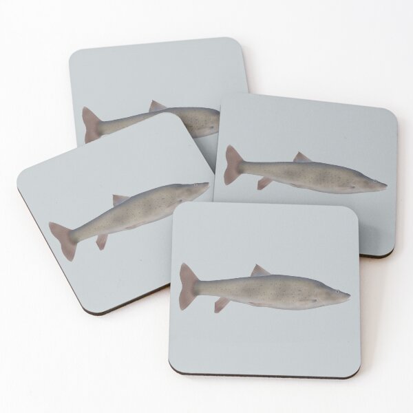 Item preview, Chirruh Snowtrout designed and sold by fishfolkart.