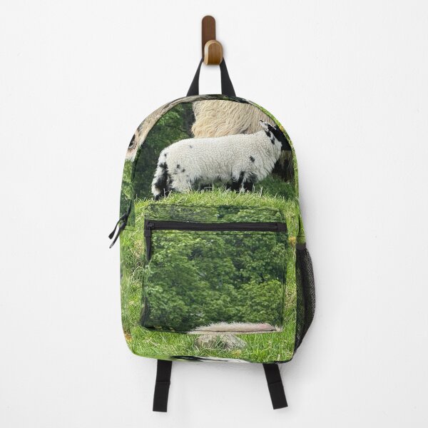 Item preview, Highland sheep family designed and sold by Photogold Photo Gifts.