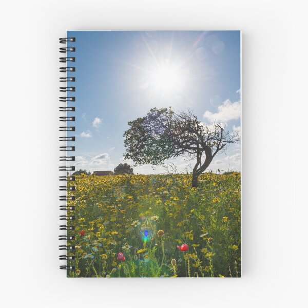 Aperçu de l'œuvre Olivier à contre jour dans une prairie en fleurs créée et vendue par Pascal-F.