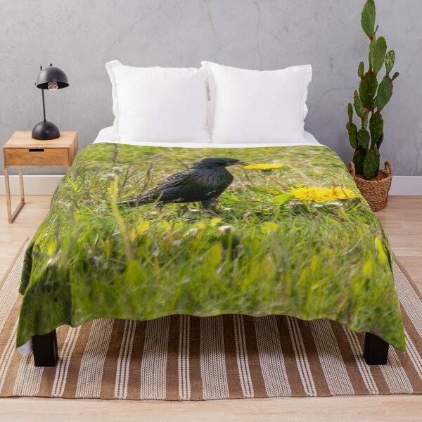 Item preview, Icelandic Starling with Dandelion designed and sold by Kristvin Gudmundsson.