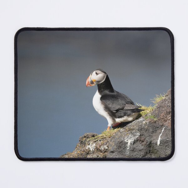 Item preview, Solitary Puffin – Icelandic Cliff side View designed and sold by Kristvin Gudmundsson.