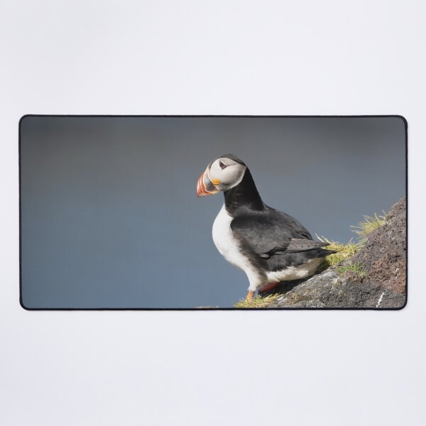 Item preview, Solitary Puffin – Icelandic Cliff side View designed and sold by Kristvin Gudmundsson.